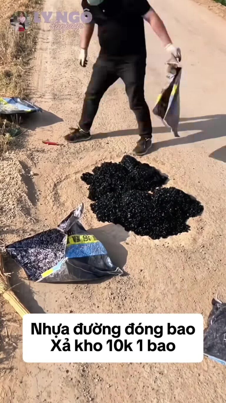 Gu nhà của người thành đạt có gì đặc biệt???